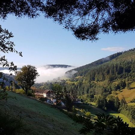 Ferienwohnung Tonbachtal 拜尔斯布龙 外观 照片