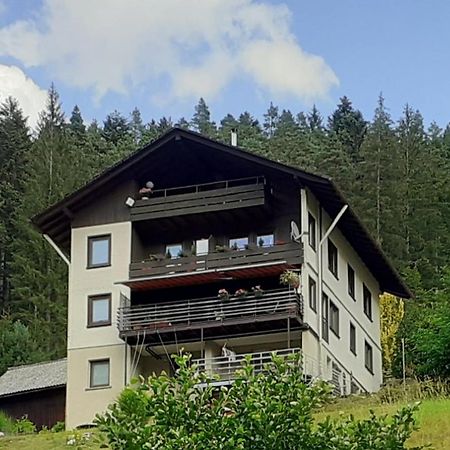 Ferienwohnung Tonbachtal 拜尔斯布龙 外观 照片