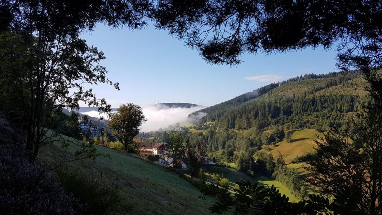 Ferienwohnung Tonbachtal 拜尔斯布龙 外观 照片