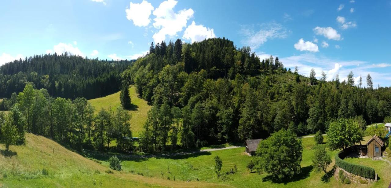 Ferienwohnung Tonbachtal 拜尔斯布龙 外观 照片