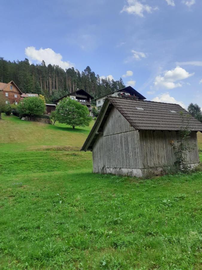 Ferienwohnung Tonbachtal 拜尔斯布龙 外观 照片